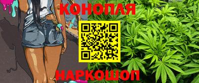 наркотики Кингисепп