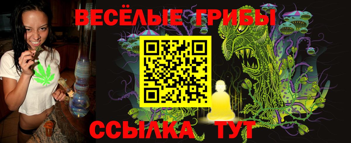 Галлюциногенные грибы Magic Shrooms Кузнецк