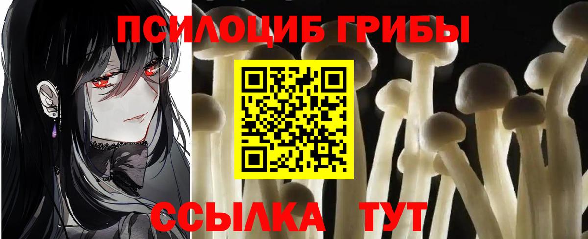 Псилоцибиновые грибы мухоморы  Вход с VPN  Кузнецк 